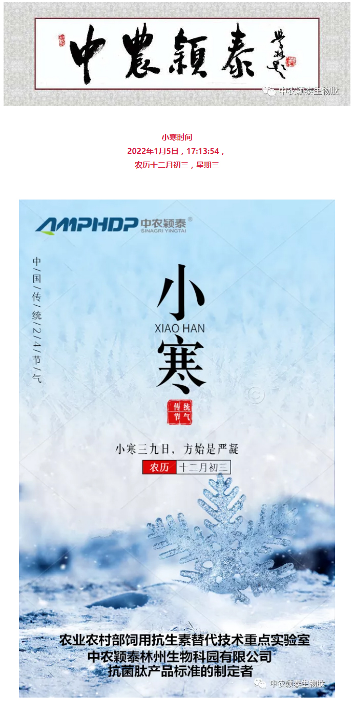 2022年（第2期）：小寒今日至，年味已冒頭_01