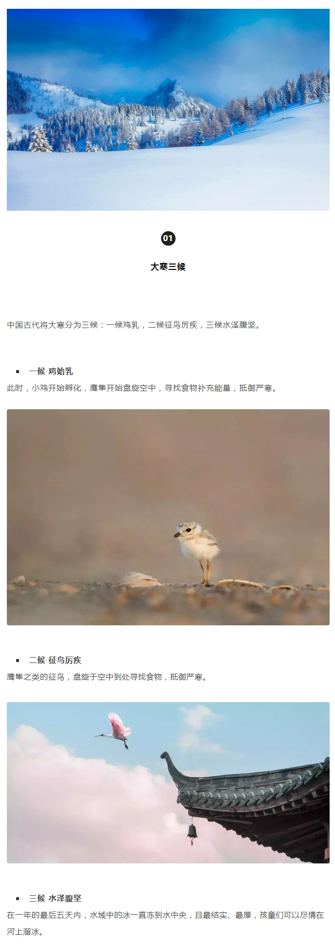 2022年（第5期）：大寒：愿您安暖幸福，歲歲平安_02