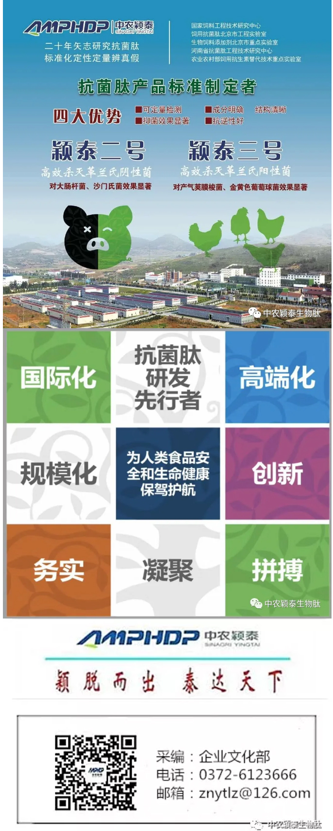 2022年（第5期）：大寒：愿您安暖幸福，歲歲平安_08