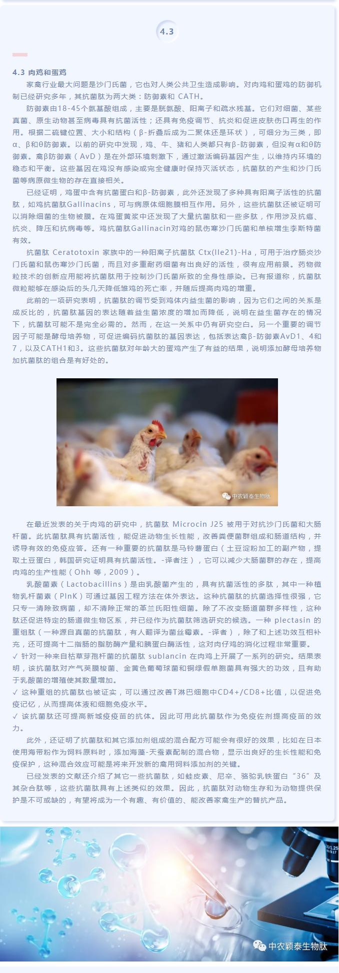 抗菌肽作為替抗飼料添加劑對動物生產(chǎn)、食品安全和公共衛(wèi)生影響的綜述（下）_03