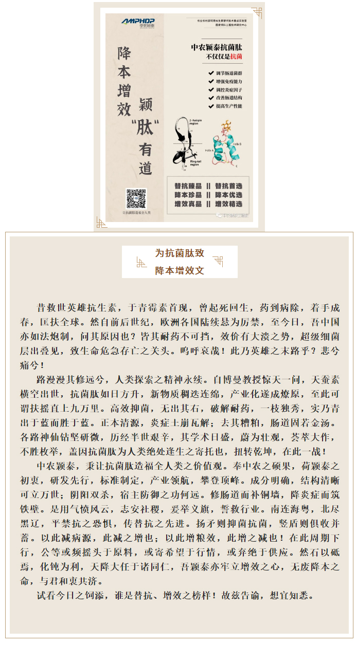降本增效，穎“肽”有道——抗菌肽降低飼料營養(yǎng)水平應用方案_01