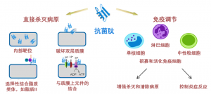 泰倍健——新型免疫增強(qiáng)劑，構(gòu)建核心抗病力